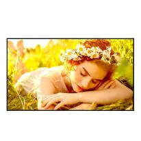 Monitor Profissional LG 50" 4K UHD Standalone - 50UL5Q-M.AWZM