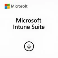 Microsoft Power BI Premium Per User 1 Ano CSP - CFQ7TTC0HL8W-001