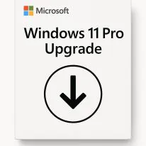 Microsoft Windows 11 Pro Upgrade Perpétuo CSP - DG7GMGF0D8H4-004