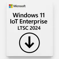 Windows 11 IoT Enterprise Microsoft Office LTSC 2024 Perpétuo CSP - DG7GMGF0PP49-001